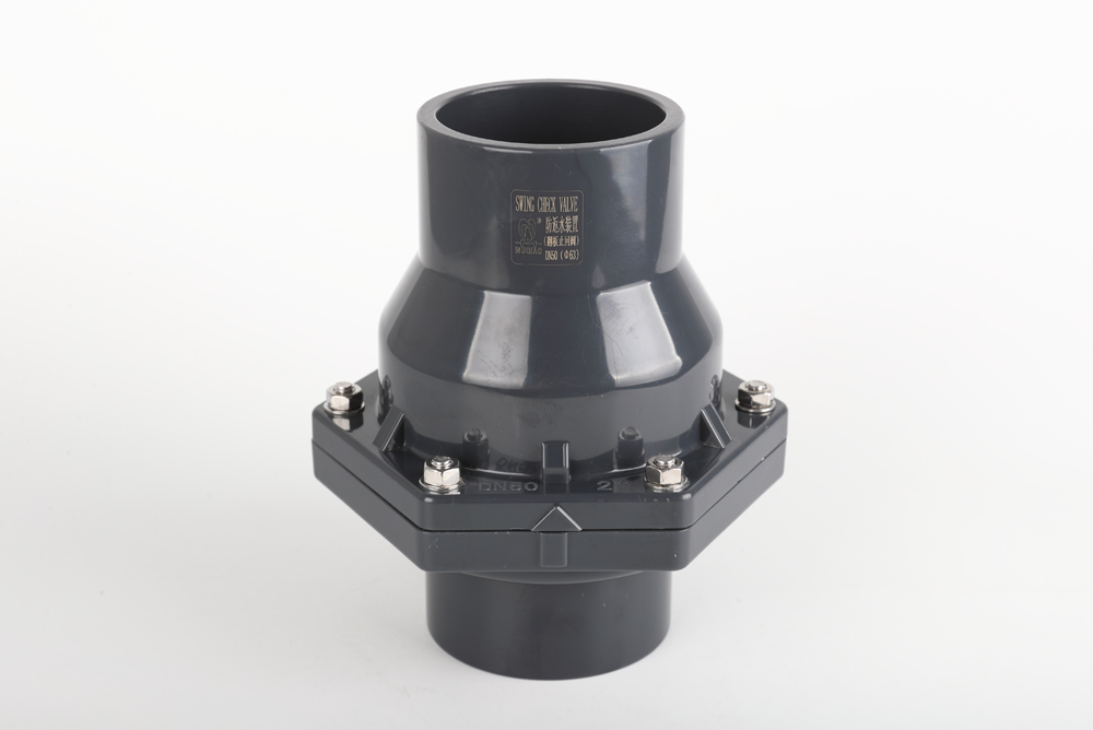 站前翻板式止回阀